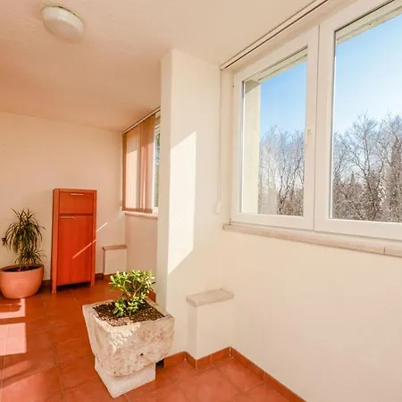 Apartment Snjezana *